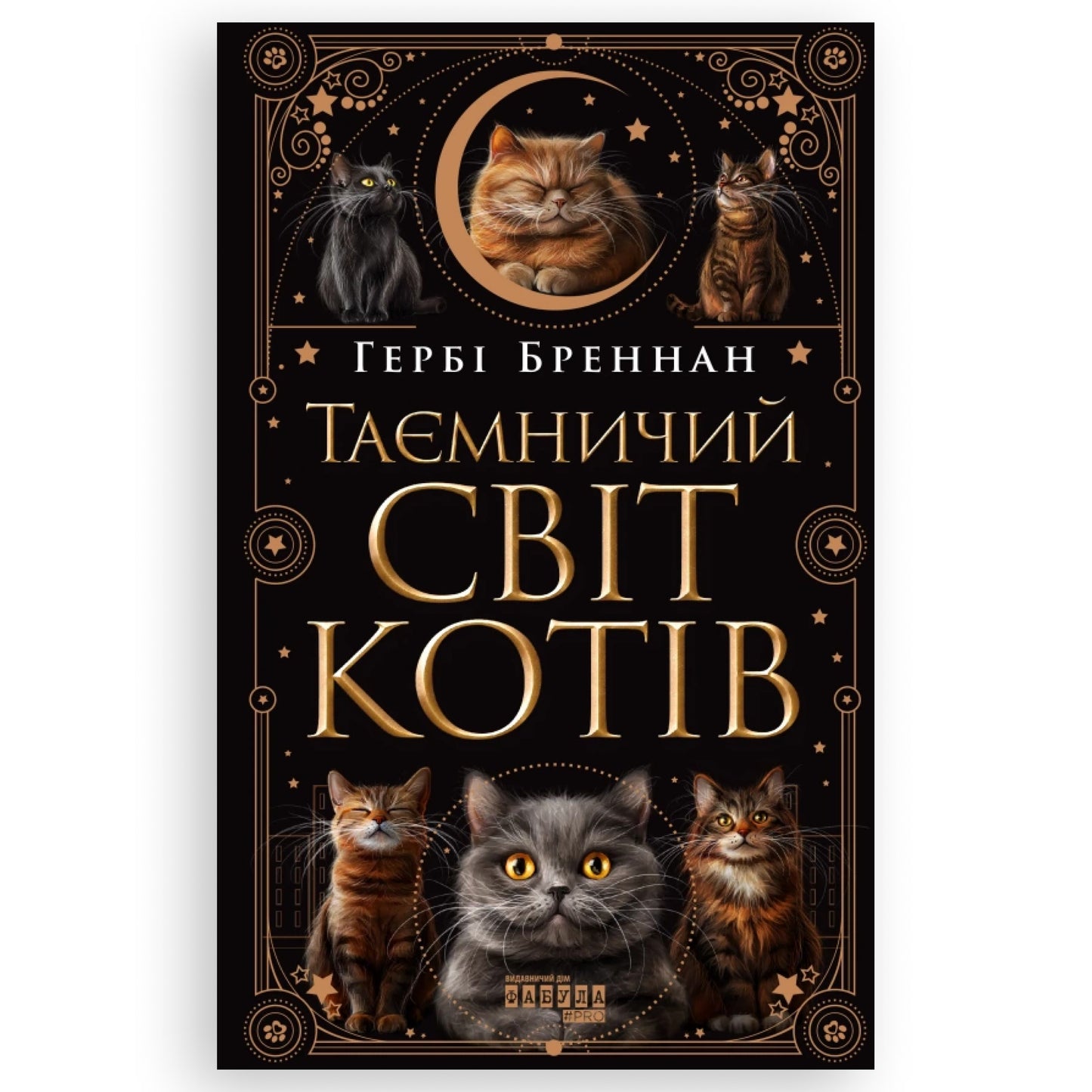 Таємничий світ котів