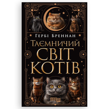 Таємничий світ котів