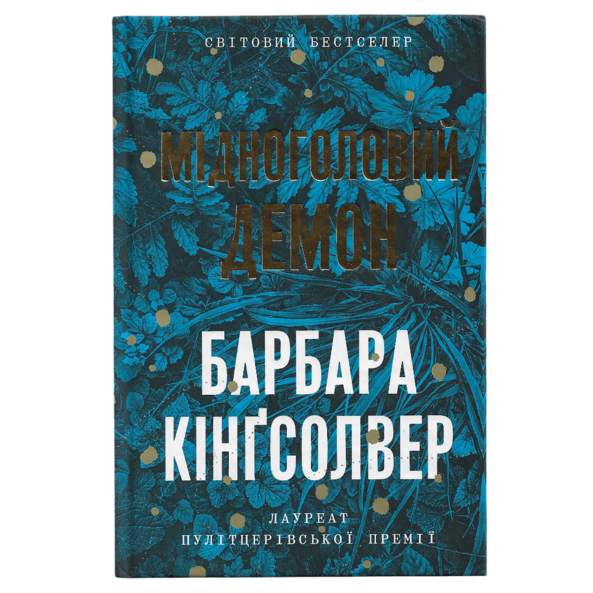 Мідноголовий Демон, автор Барбара Кінґсолвер. Українська книги в Нідерландах та Європі. Книгарня BoekUA
