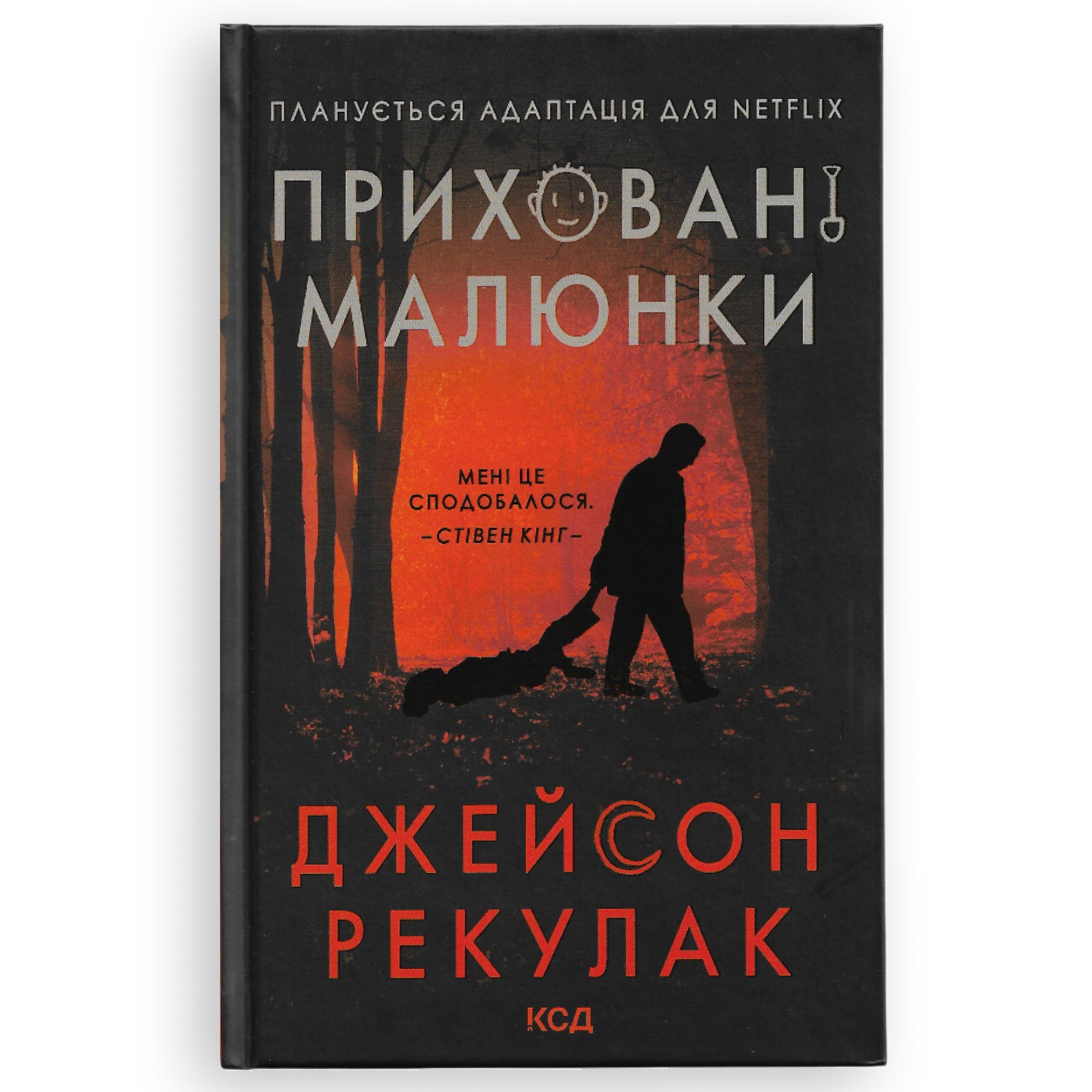 Приховані малюнки, автор Джейсон Рекулак. Книги українською в Нідерландах, Бельгії, Люксембурзі, Данії та інші країни Європи. Книгарня BoekUA