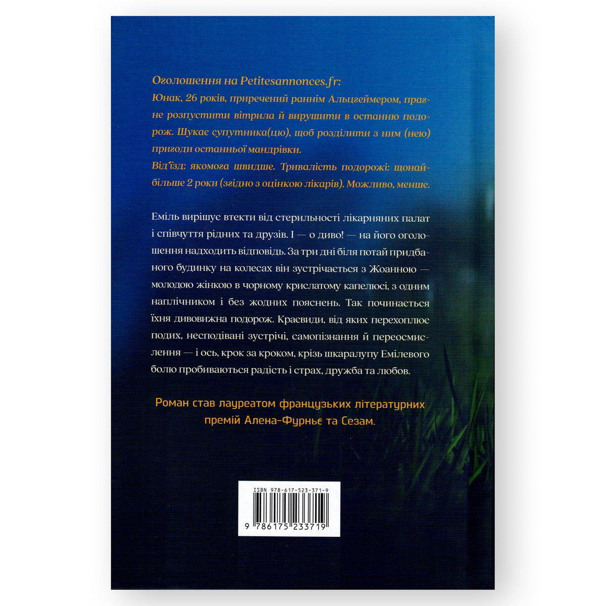 Уся небесна синь, автор Мелісса Да Коста. Українські книги Нідерланди. Швидка доставка PostNL | DHL. Книгарня BoekUA